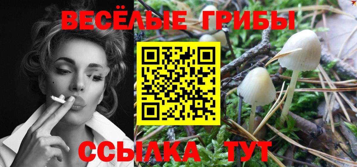 Галлюциногенные грибы MAGIC MUSHROOMS  Вход с VPN  Кунгур 