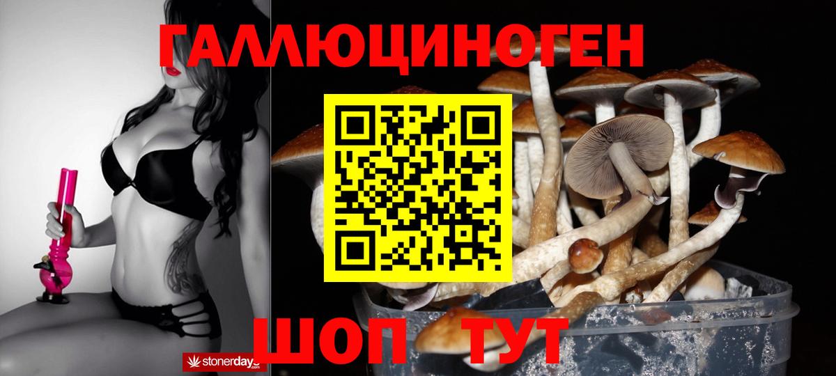 Галлюциногенные грибы Magic Shrooms Кунгур